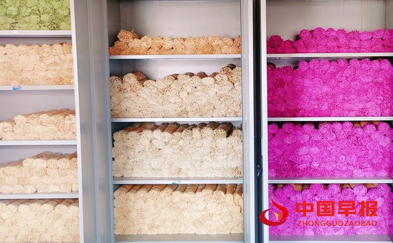 1734020286178670.jpg 3_副本.jpg