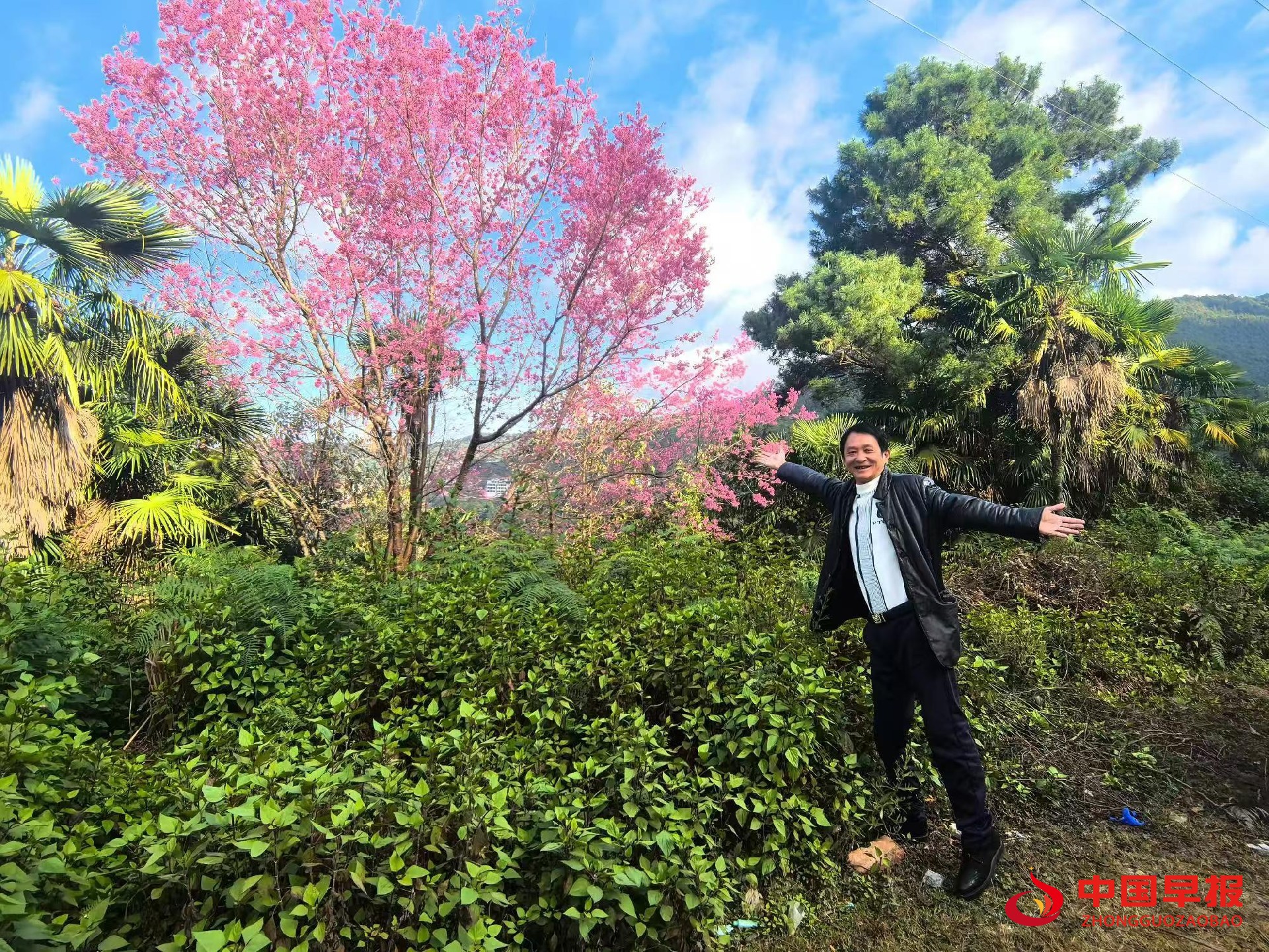 1735896738198304.jpg 1735896738198304.jpg