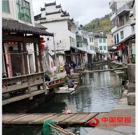 1737172921631880.png 3.png