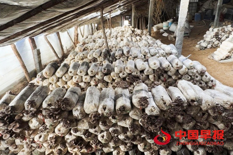 1737381525210112.jpg 7_副本.jpg