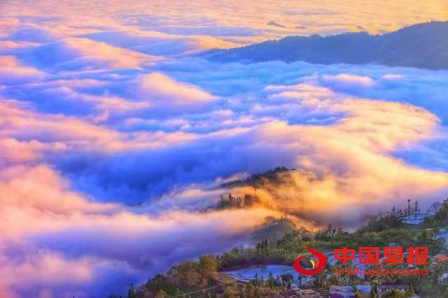 1739631294143647.jpg 1739631294143647.jpg