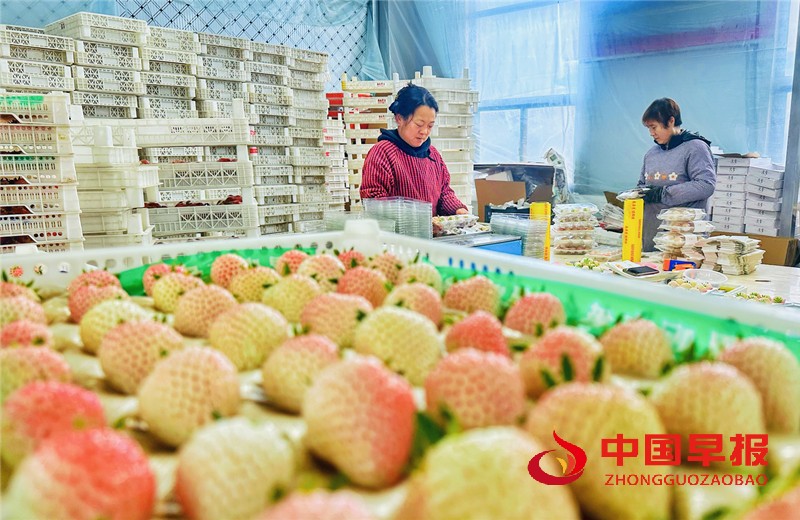 1742437067214022.jpg 微信图片_20250320095748_副本.jpg