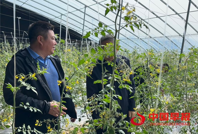 1742437086162538.jpg 微信图片_20250320095756_副本.jpg