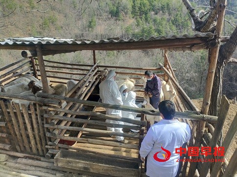 1743733969477179.jpg 微信图片_20250404102944.jpg