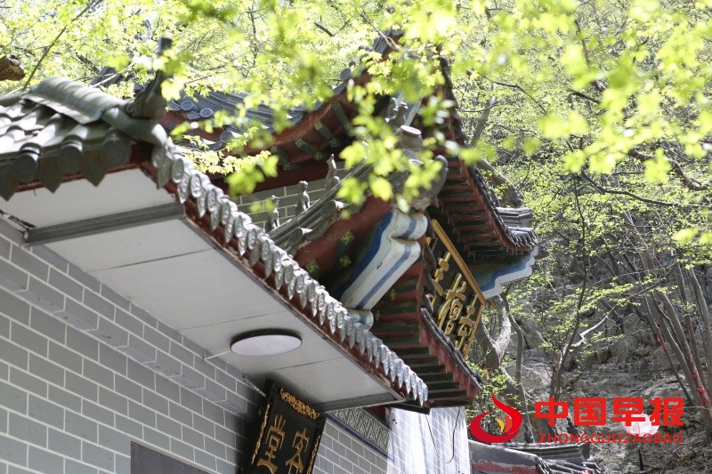 1743950160407077.jpg AW8U9893_副本.jpg