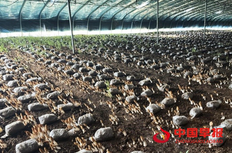 1744174815141642.jpg 1_副本.jpg