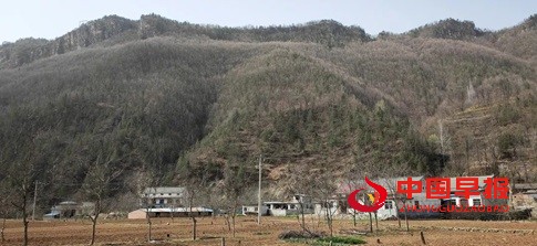 1744178666342746.jpg 微信图片_20250409134333.jpg