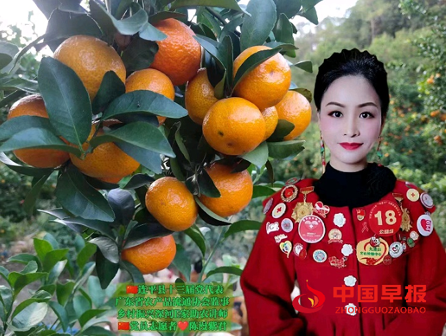 1744179151903446.png 3.png