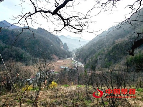 1744188917638810.jpg 640 (3).jpg