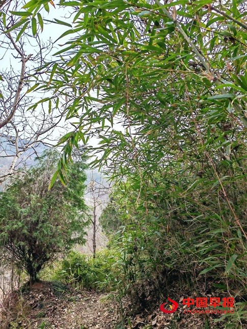 1744189122654996.jpg 640 (9).jpg