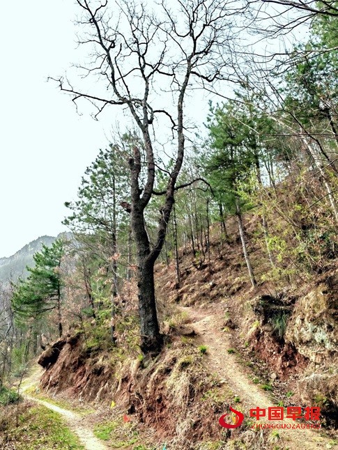 1744189253144732.jpg 640.jpg