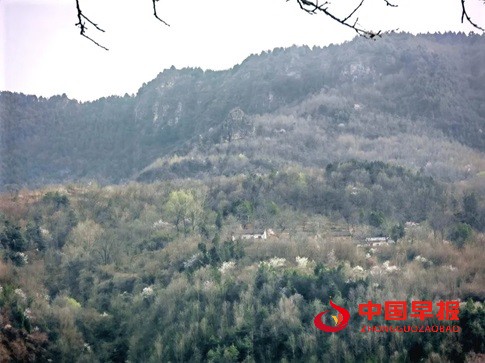 1744190669143088.jpg 640 (11).jpg