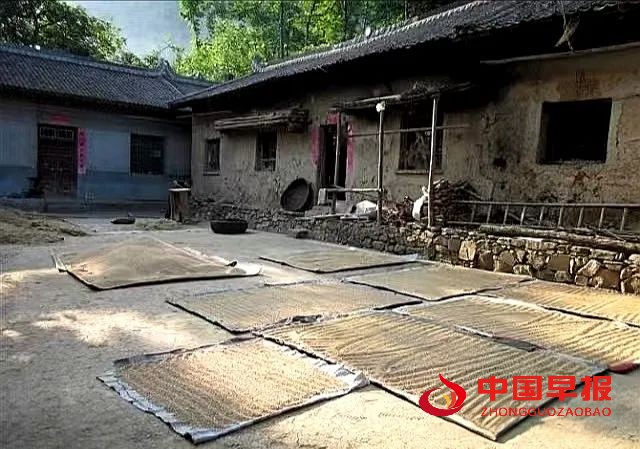 1744192176804611.jpg 1744192176804611.jpg