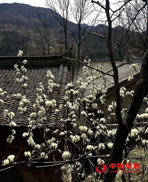 1744192310159073.jpg 微信图片_20250409172716.jpg