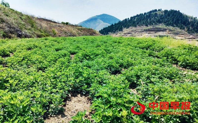 1746108306120389.jpg 3_副本.jpg