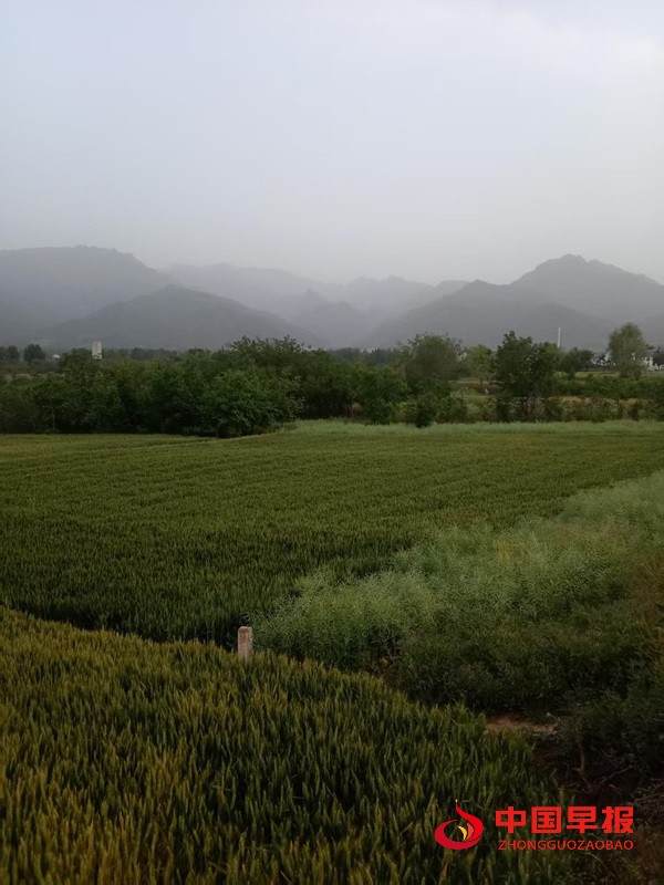 1746756302924329.jpg 1746756302924329.jpg