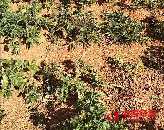 1746756993408954.jpg 微信图片_20250509101208.jpg