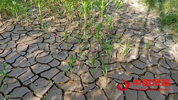 1746757176184172.jpg 微信图片_20250509101224.jpg