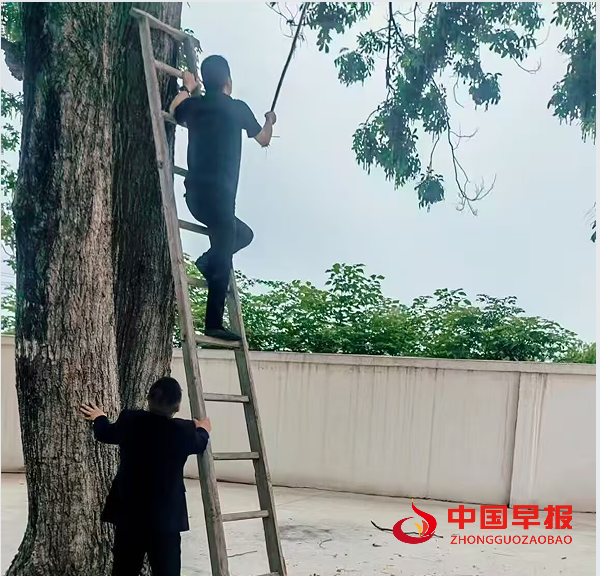 1750048913151658.png 5.png