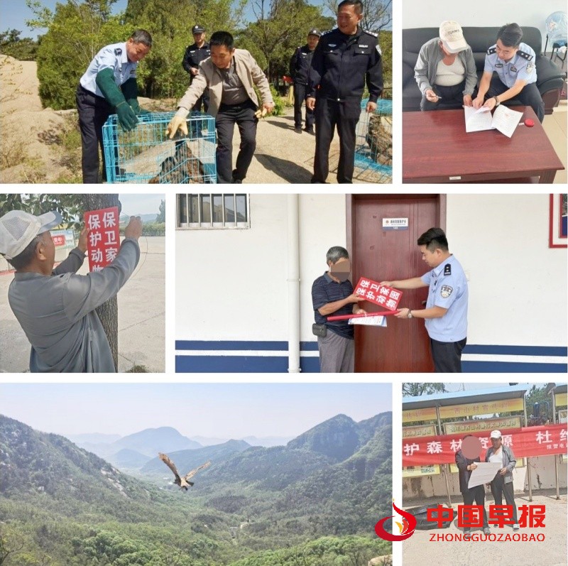 1750733107249428.jpg 2_副本.jpg