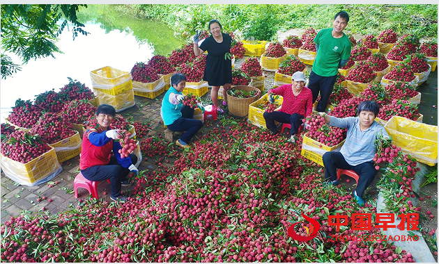 1750987936673138.png 44.png