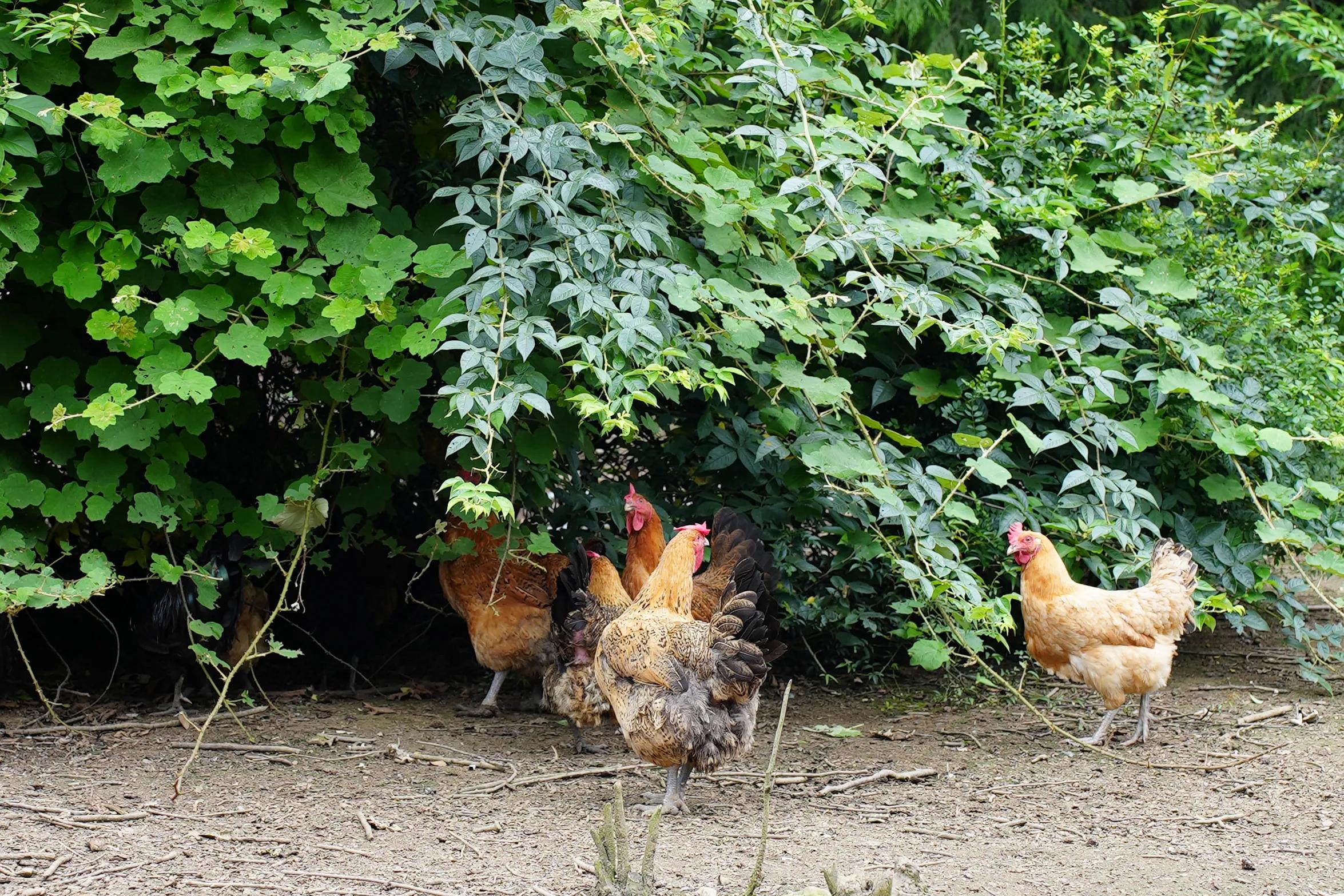 1751011662701847.jpeg 图片02.jpeg