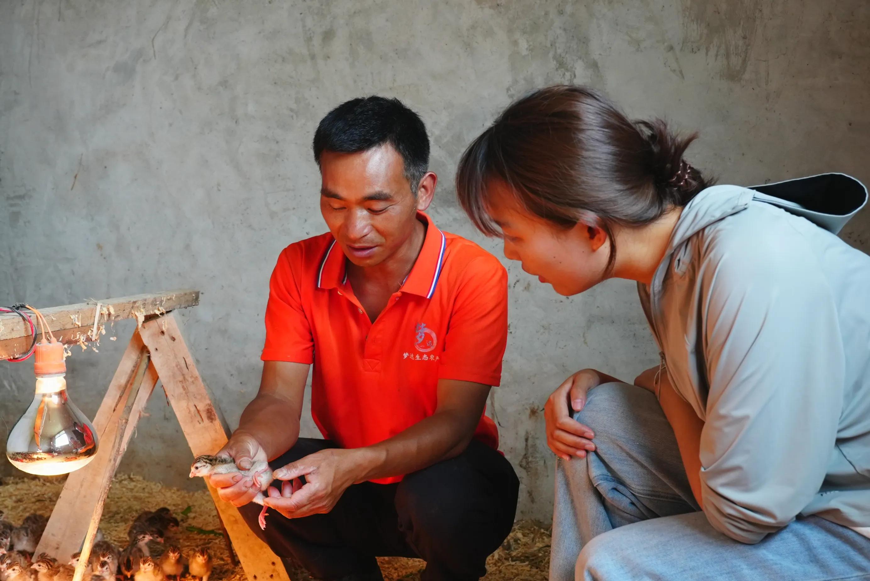 1751011739186430.jpeg 图片03.jpeg