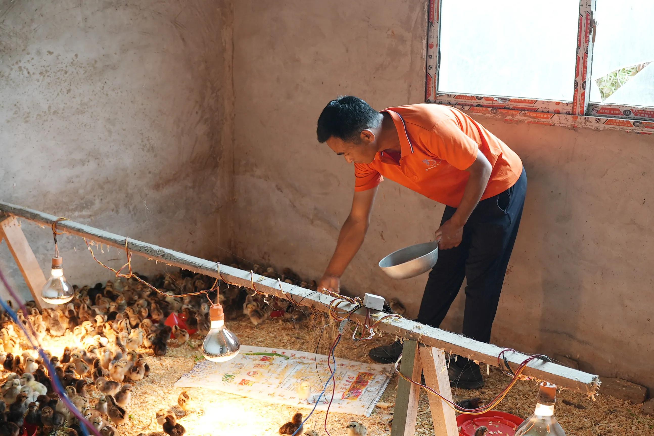 1751011834203888.jpeg 图片04.jpeg