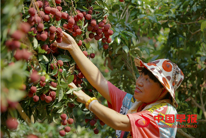 1751160857101491.png 2.png