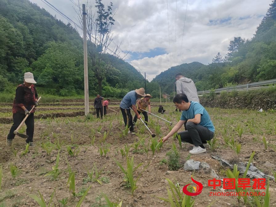 1751214102158159.jpg 图片2.jpg