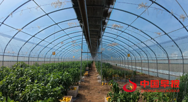 1751875386121925.png 图片03.png