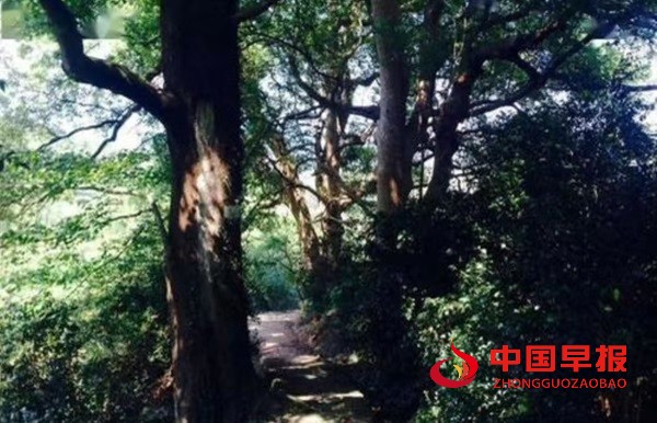 1752759424843689.jpg 微信图片_20250717212639.jpg