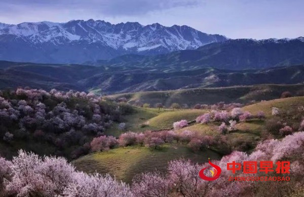 1752759550150784.jpg 微信图片_20250717212659.jpg