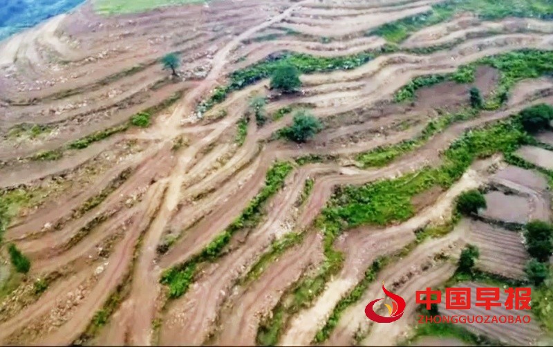 1752982286853349.jpg 640_副本.jpg