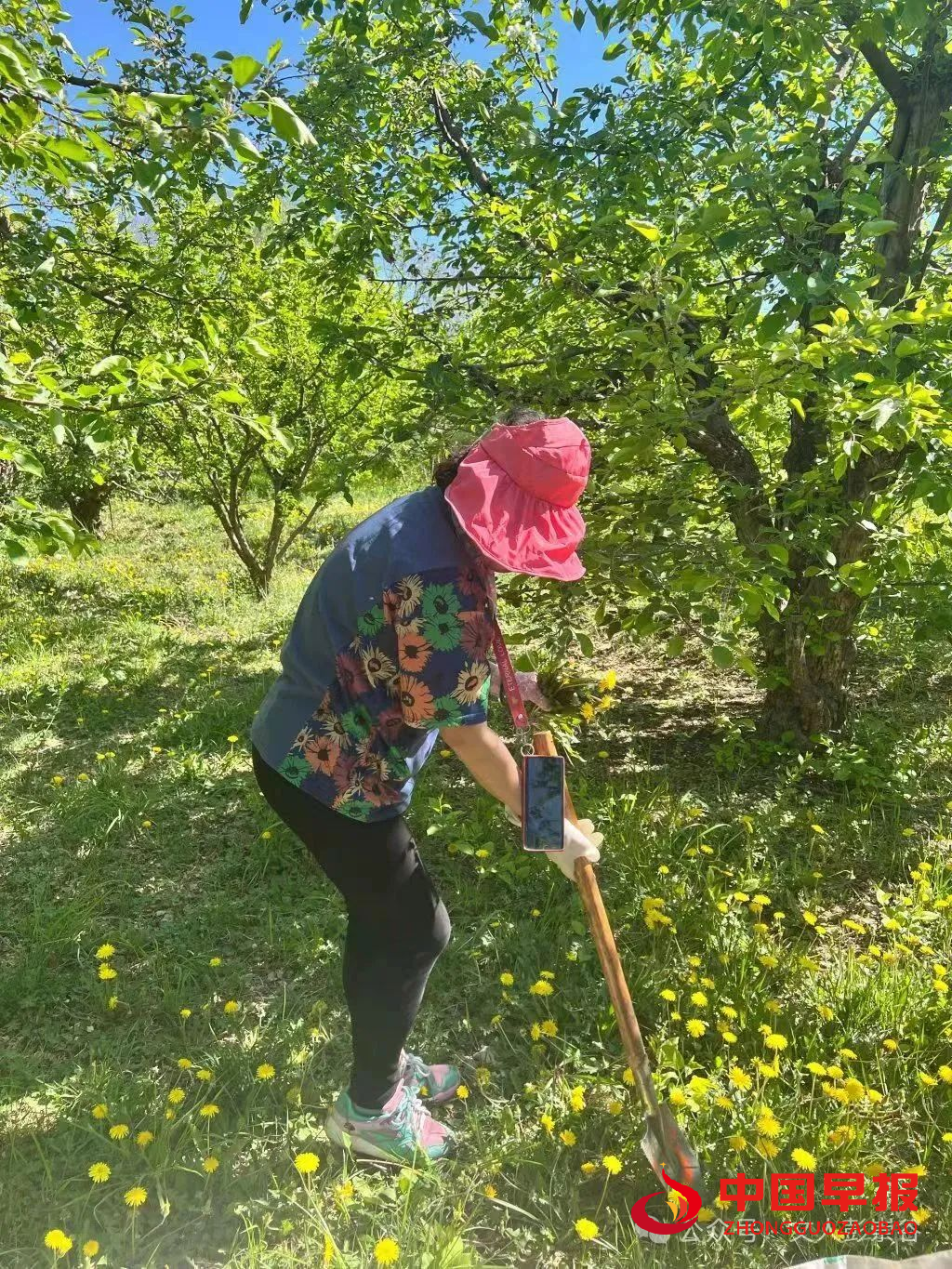 1756118594246083.jpg 1756118594246083.jpg