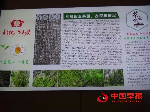 1756951668648052.jpg 10000.jpg