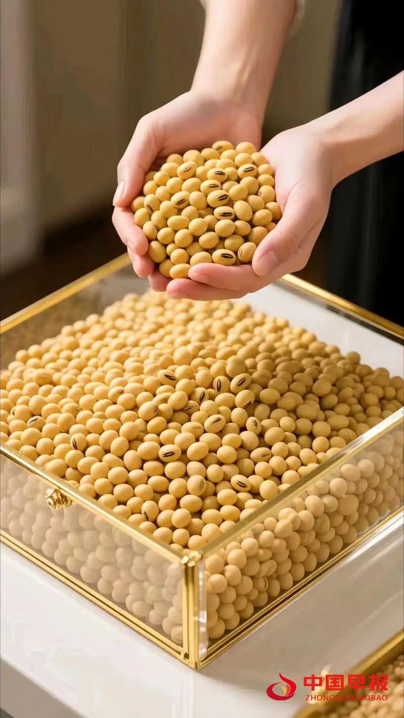 1760428716129939.jpg 图片02.jpg