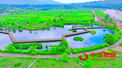 青海海东延续“绿色接力” 聚力绘就河湟谷地生态画卷(图1) 青海海东延续“绿色接力” 聚力绘就河湟谷地生态画卷(图1)