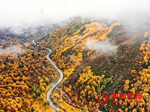 青海海东延续“绿色接力” 聚力绘就河湟谷地生态画卷(图4) 青海海东延续“绿色接力” 聚力绘就河湟谷地生态画卷(图4)
