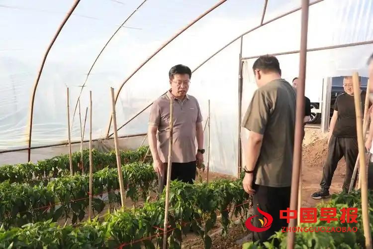 1761035234759404.jpg 图片03.jpg