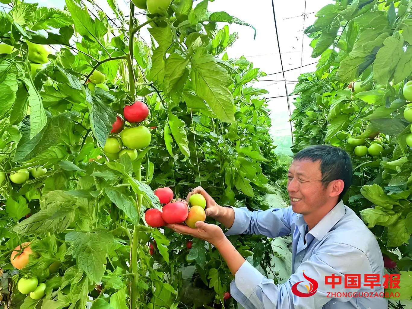 1761035703207958.jpg 图片010.jpg