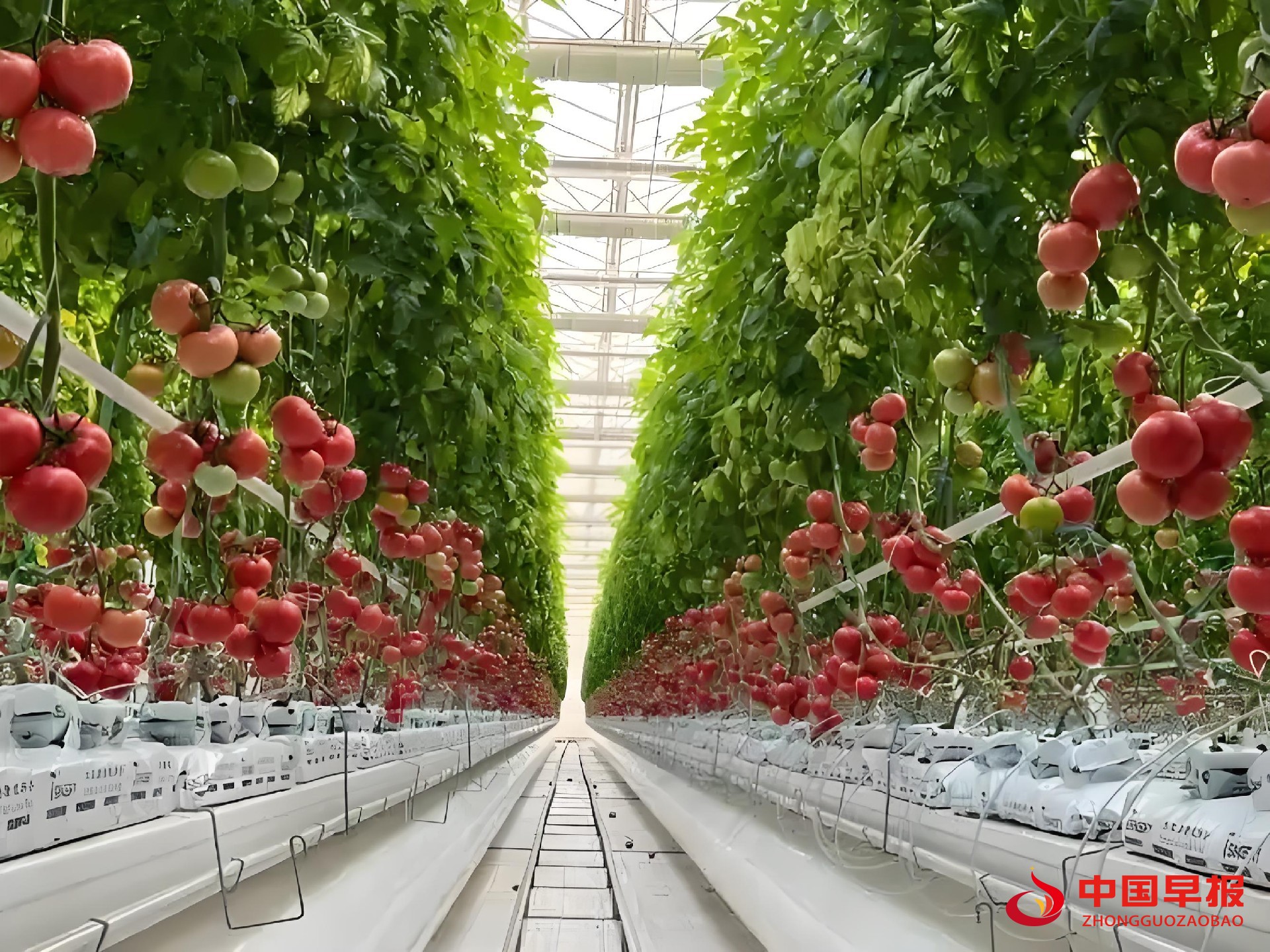 1761035878119601.jpg 图片02.jpg