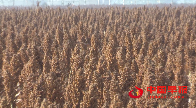 1762086023143790.png 微信图片_20251102201124.png