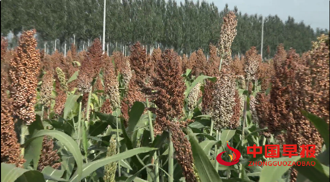 1762086043702041.png 微信图片_20251102201150.png