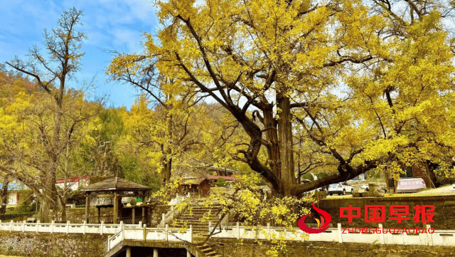 1762483953132995.png 图片01.png