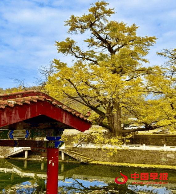 1762484059630474.png 图片03.png