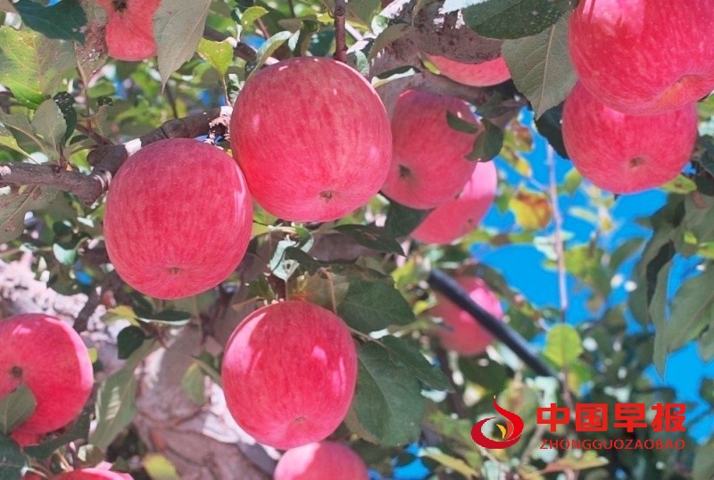 1762619099142713.jpg 微信图片_20251109002139_3068_35_副本.jpg