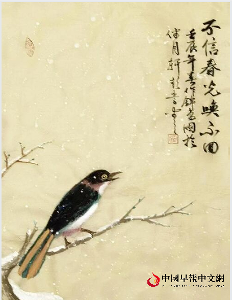 1767678768109765.png 4小鸟.png